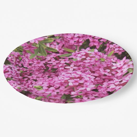 ピンクかわいらしダフネフローラ ペーパープレート (アングル)