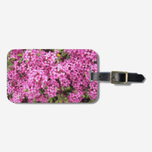 ピンクかわいらしダフネフローラ