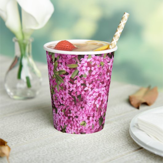 ピンクかわいらしダフネフローラ 紙コップ (インサイチュ)