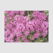 ピンクかわいらしダフネフローラ 薄葉紙 (正面)