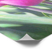 ピンクかわいらしチューリップガーデンアートポスター ポスター (角)