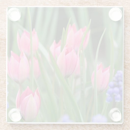 ピンクかわいらしチューリップフラワー写真 – ガラスコースター (裏面)
