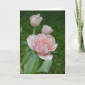 ピンクかわいらしチューリップフローライースタースプリングタイム シーズンカード (正面)