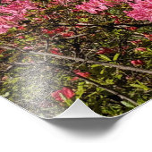 ピンクかわいらしツツジフローラ フォトプリント (角)