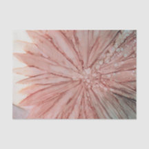 ピンクかわいらしティッシュペーパー