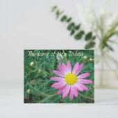 ピンクかわいらしデイジー ポストカード (スタンド正面)