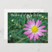 ピンクかわいらしデイジー ポストカード (正面/裏面)