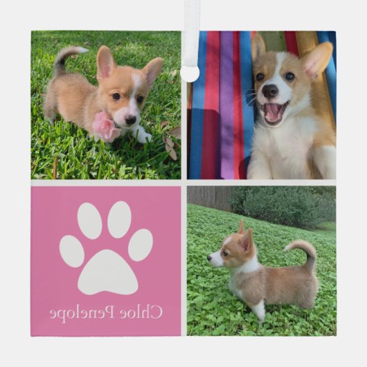 ピンクかわいらしドッグコラージュカスタムペットクリスマスプレゼント ガラスオーナメント (裏面)