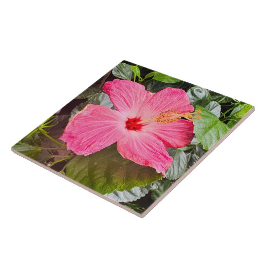 ピンクかわいらしハイビスカス タイル (側面)