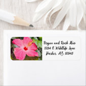 ピンクかわいらしハイビスカス ラベル (インサイチュ)