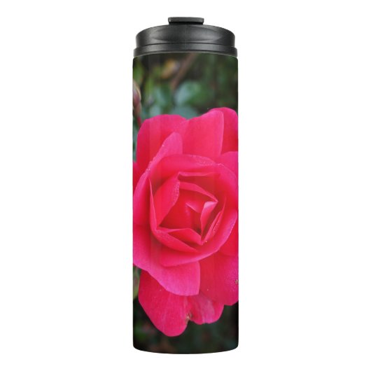 ピンクかわいらしバラ花写真 タンブラー (正面)