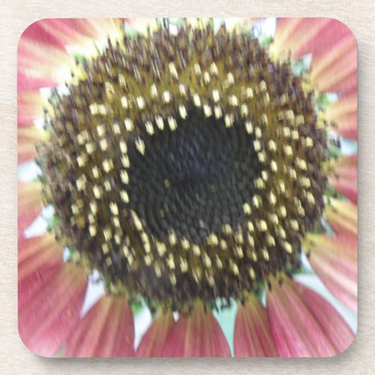 ピンクかわいらしヒマワリのコルクコースター コースター (正面)