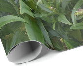 ピンクかわいらしペンステモンフラワーフローラルパターンガーデン ラッピングペーパー (ロールコーナー)