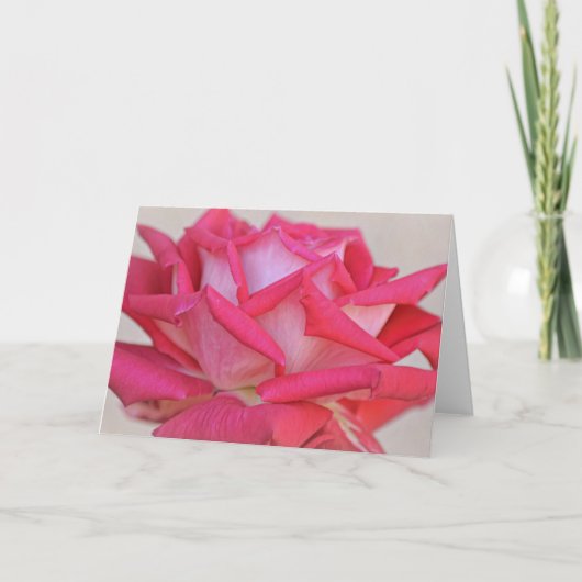 ピンクかわいらしローズ写真アートノートカード カード (正面)