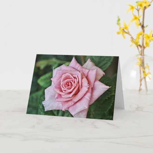 ピンクかわいらしローズ聖なる書物、 経典カードヘブライ10:23 カード (黄色い花)