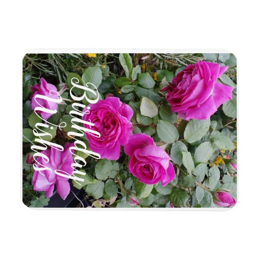 ピンクかわいらしヴィンテージバラ花誕生日カード マグネット (横)