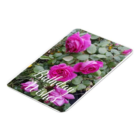 ピンクかわいらしヴィンテージバラ花誕生日カード マグネット (左側)