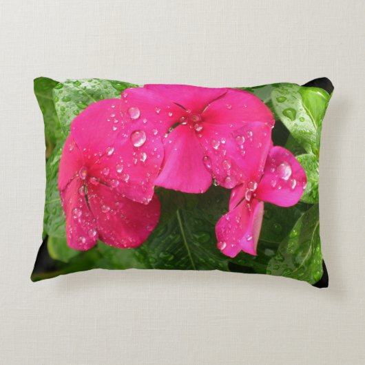 ピンクかわいらし春の花のマクロ写真 アクセントクッション (裏面)
