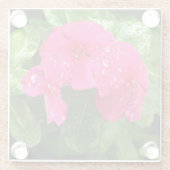 ピンクかわいらし春の花のマクロ写真 ガラスコースター (裏面)