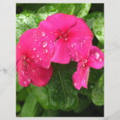 ピンクかわいらし春の花スクラップブック作り紙 (裏面)