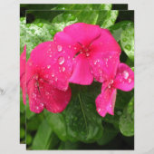 ピンクかわいらし春の花スクラップブック作り紙 (正面/裏面)