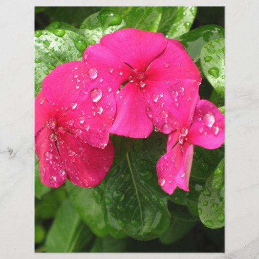 ピンクかわいらし春の花スクラップブック作り紙 (正面)