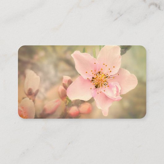 ピンクかわいらし淡い色のの夢の花の写真 名刺 (裏面)