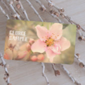 ピンクかわいらし淡い色のの夢の花の写真 名刺