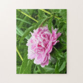 ピンクかわいらし牡丹 ジグソーパズル (縦)