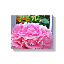 ピンクかわいらし素朴の牡丹花