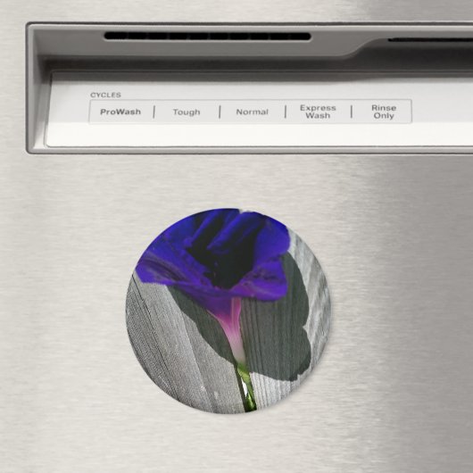 ピンクかわいらし紫の朝顔の花 マグネット (インサイチュ (食洗機))