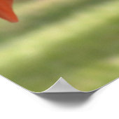 ピンクかわいらし色で ポスター (角)