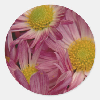 ピンクかわいらし色：封筒用シール ラウンドシール