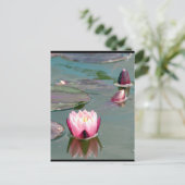 ピンクかわいらし《植物》スイレンはがき ポストカード (スタンド正面)