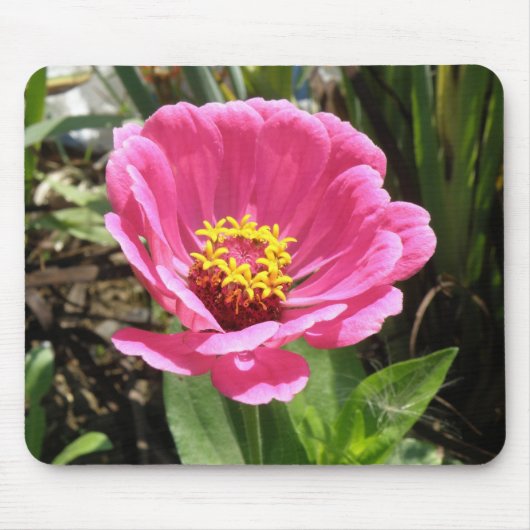 ピンクかわいらし《植物》百日草マウスパッド マウスパッド (正面)