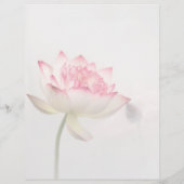 ピンクがかった白の蓮の花サービス&価格リスト チラシ (裏面)