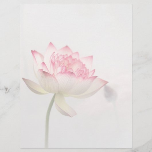 ピンクがかった白の蓮の花サービス&価格リスト チラシ (裏面)