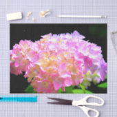 ピンクがかった紫色のオレンジアジサイ 薄葉紙 (クラフト)