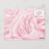 ピンクきらめくローズ葉書 ポストカード (裏面)