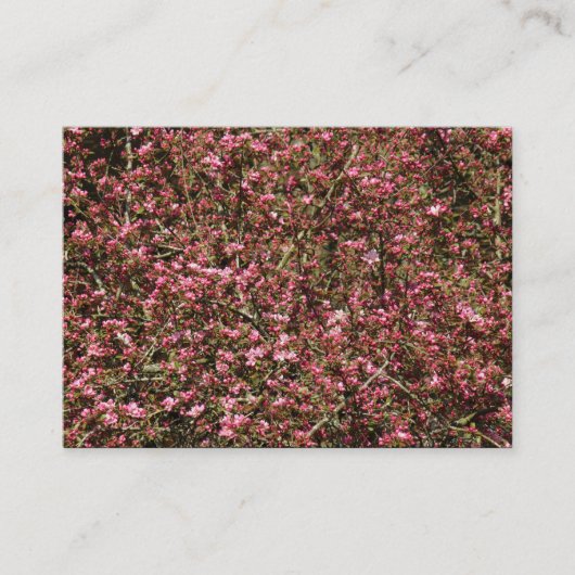 ピンクさくらんぼブロッサム02 名刺 (正面)