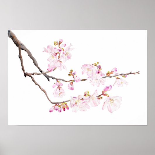 ピンクさくらんぼブロッサム2023水彩2ポスター ポスター (正面)