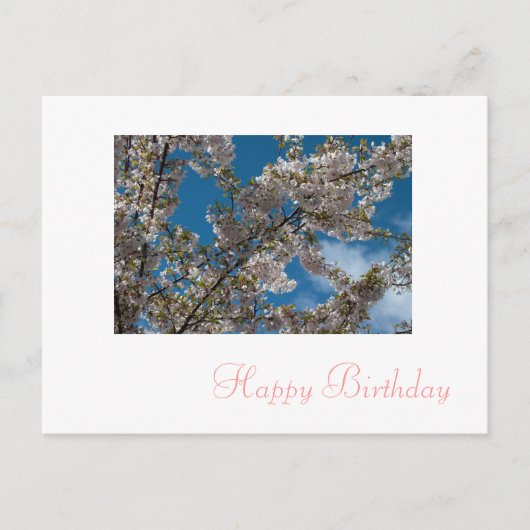 ピンクさくらんぼ花ハッピーバースデー ポストカード (正面)