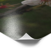 ピンクさくらんぼ花フローラ写真 フォトプリント (角)