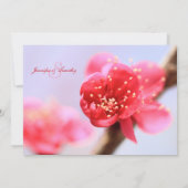 ピンクさくらんぼ花結婚式招待状 招待状 (裏面)