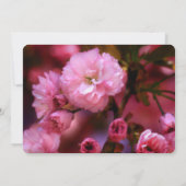 ピンクさくらんぼ花記念事業発表 招待状 (裏面)