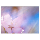 ピンクさくらんぼ花 テーブルクロス (正面(横))