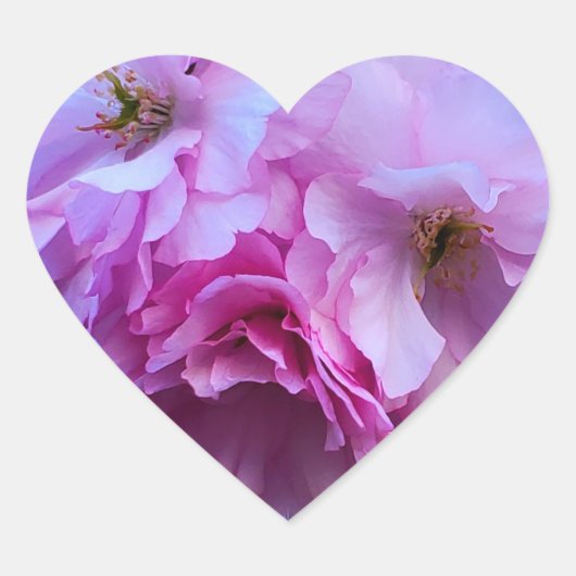 ピンクさくらんぼ花 ハートシール (正面)