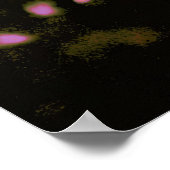 ピンクさくらんぼ花 ポスター (角)