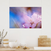 ピンクさくらんぼ花 ポスター (キッチン)