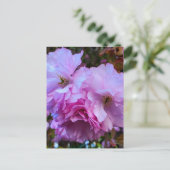 ピンクさくらんぼ花 ポストカード (スタンド正面)